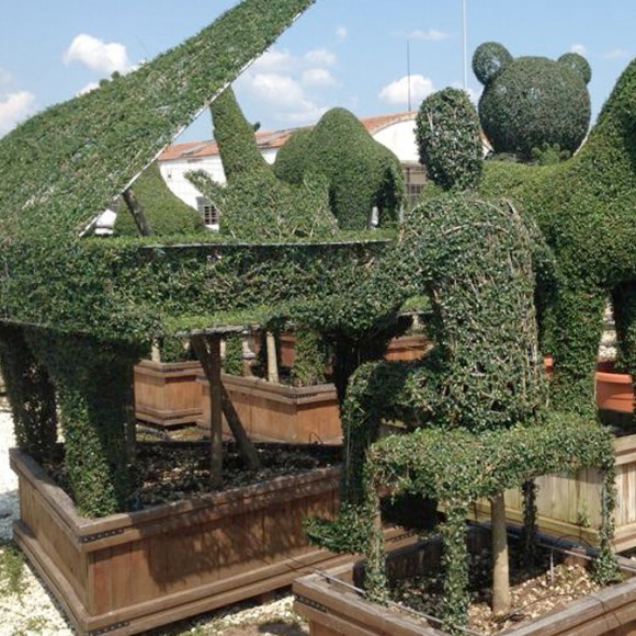 Shaped Topiary