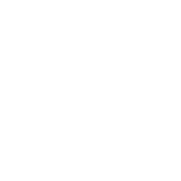 Lapicida