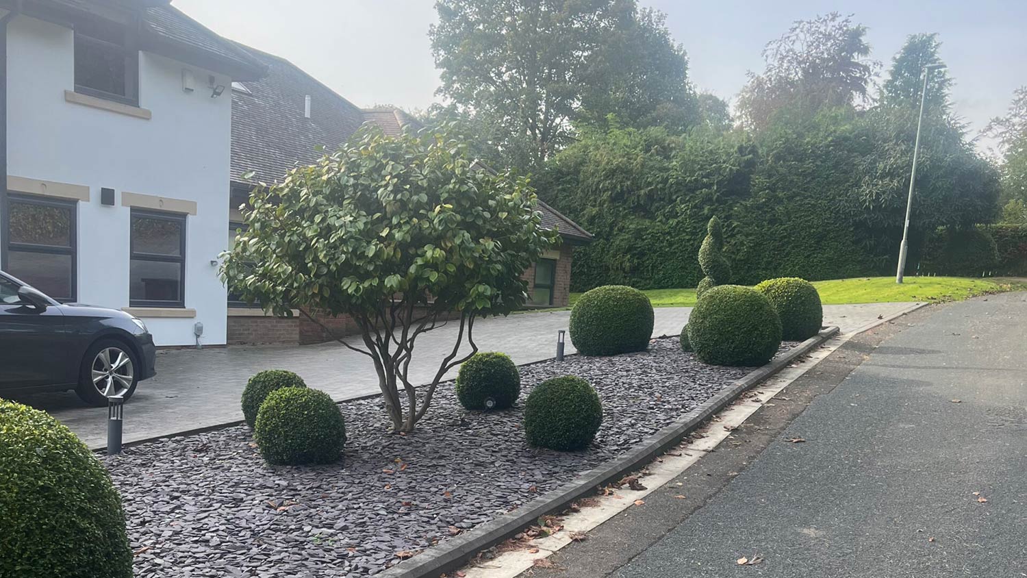 Create a Show-Stopping Driveway with Topiary