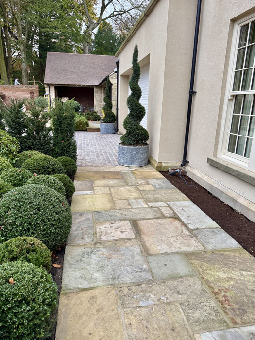 Condensed Topiary Balls create impact for borders