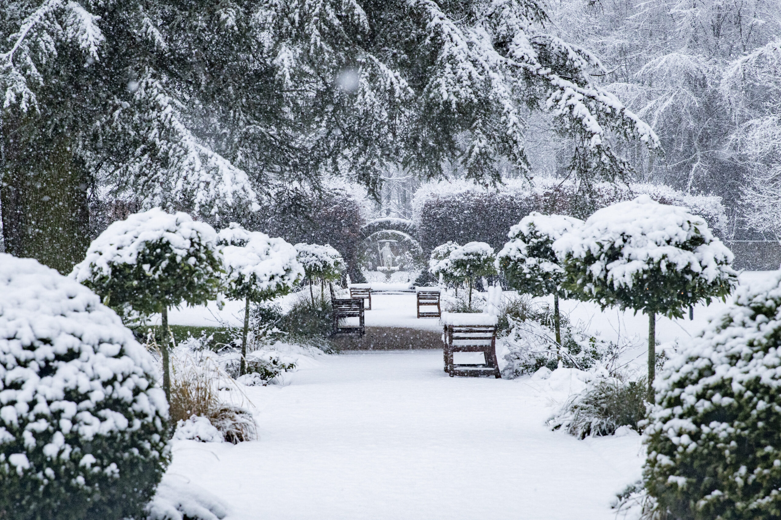 OrchardNurseries.GrantleyHall
