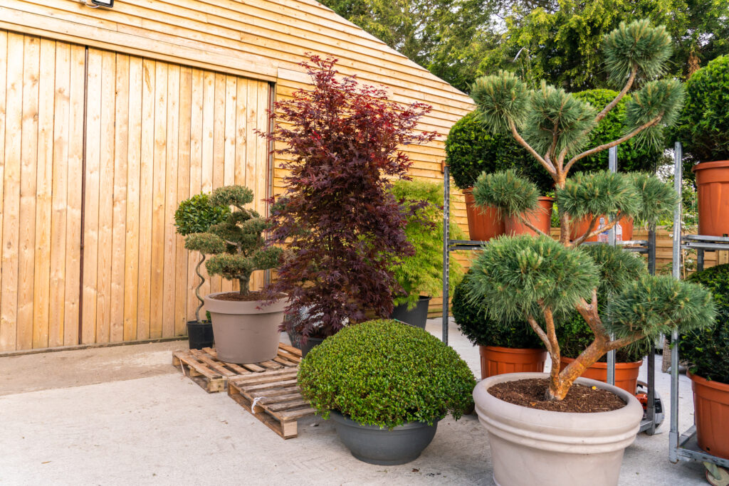 OrchardNurseries_WhiteGloveService