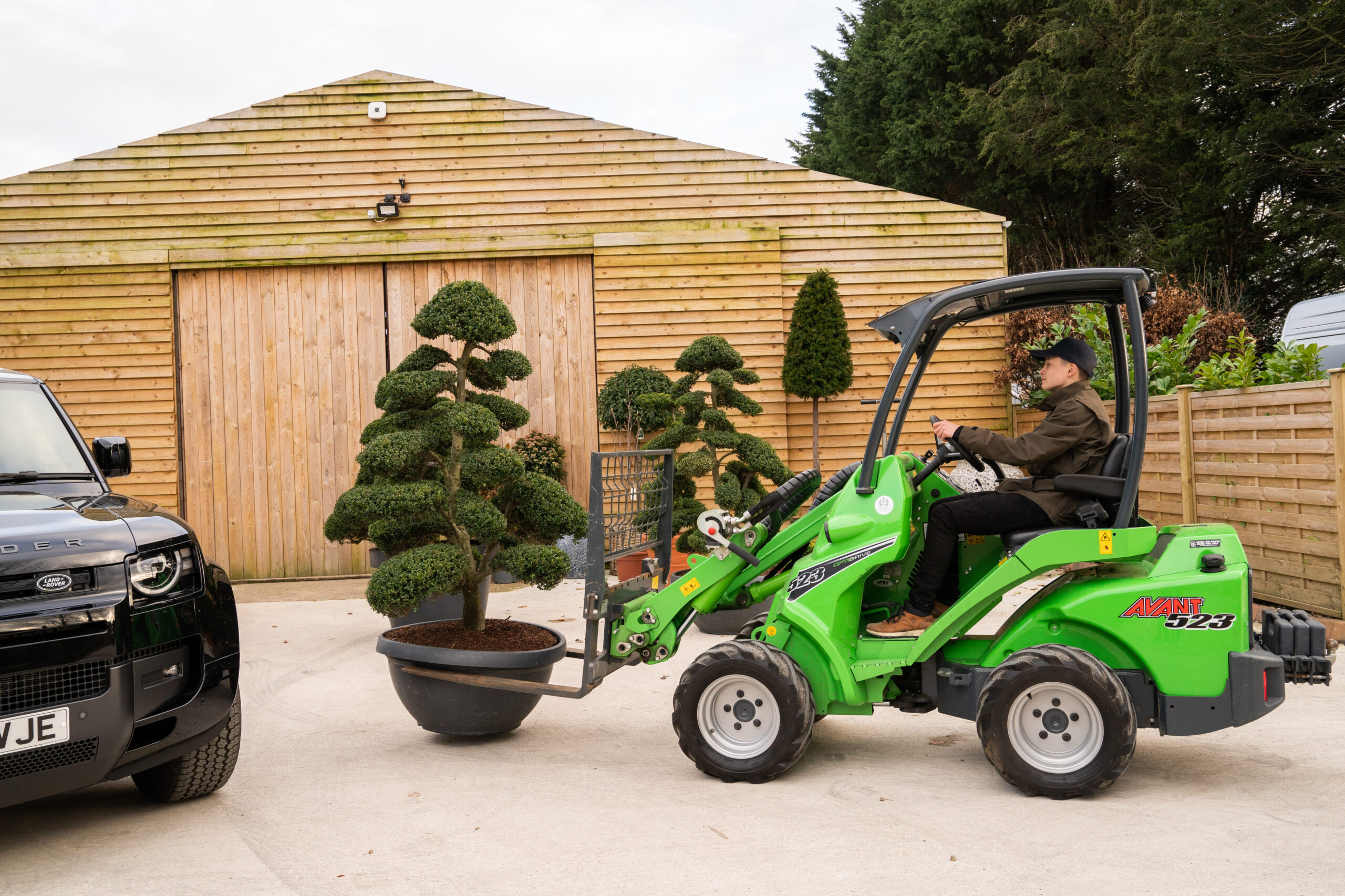 orchardNurseriesUK.BonsaiCloudTree