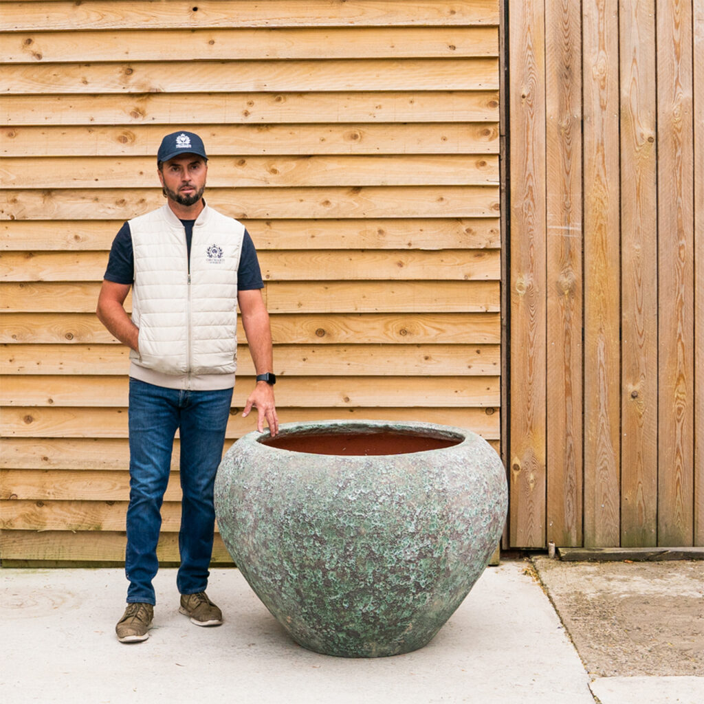 OrchardNurseries.AromaLargePot16