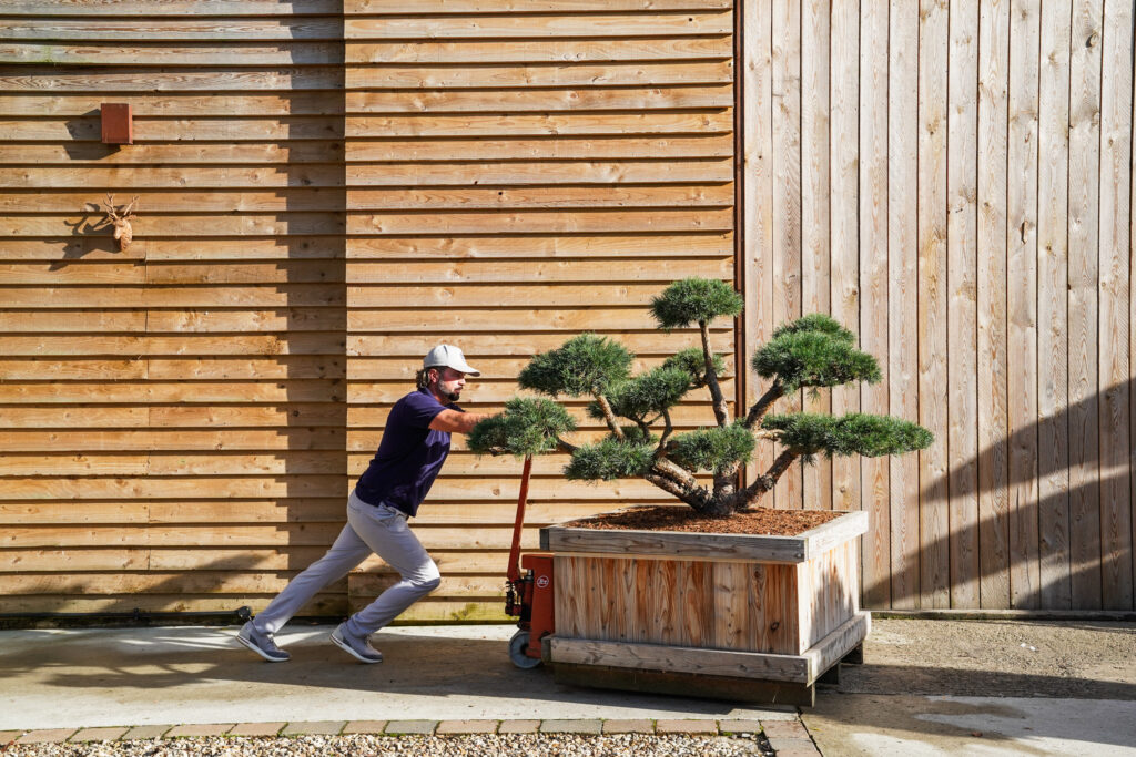 OrchardNurseries.Bonsai.WhiteGlove