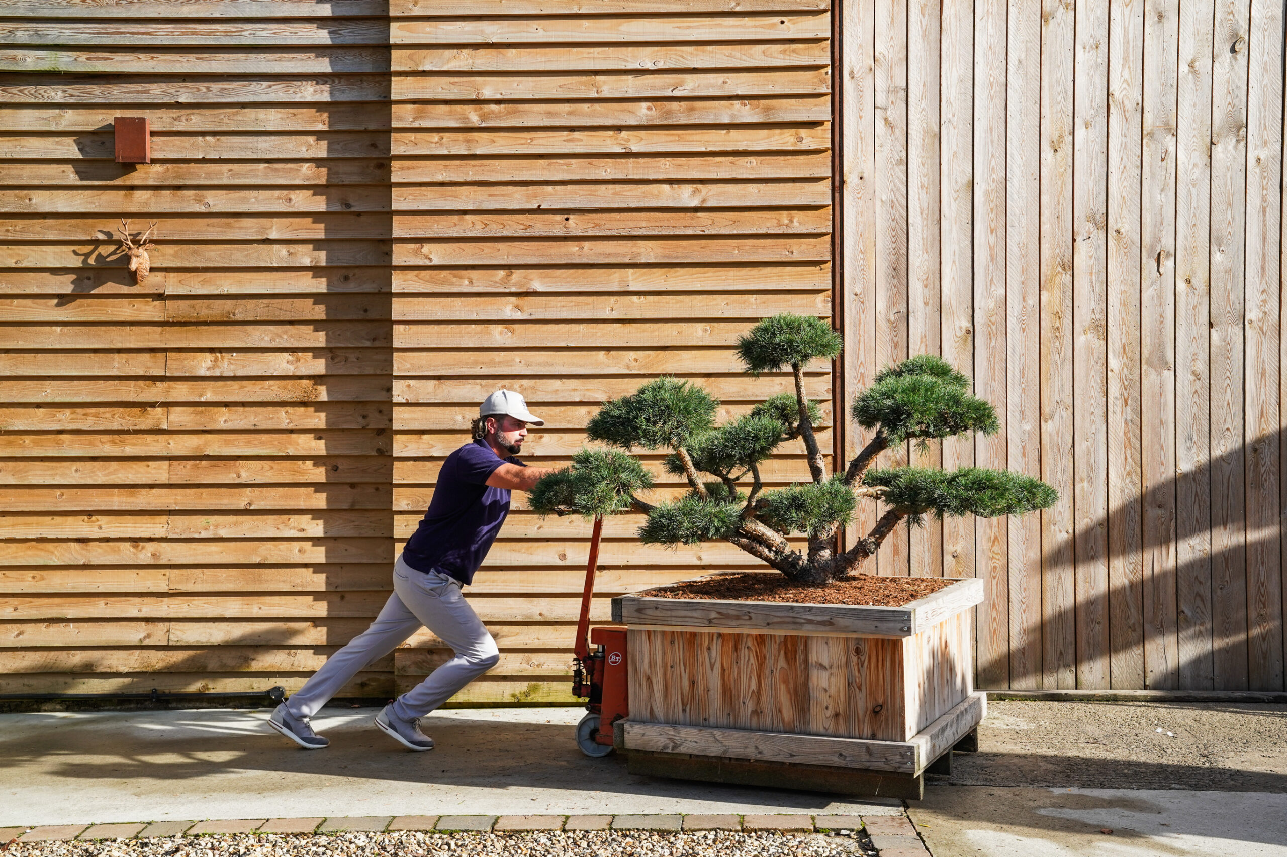 OrchardNurseries.Bonsai.WhiteGlove