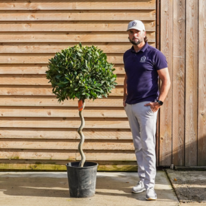 OrchardNurseriesSpiralBay10